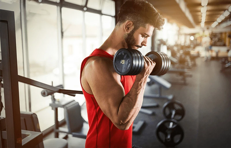 Tạ tay tạ đơn được trang bị ở tất cả các phòng tập